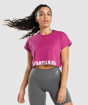 Corp Tops Gymshark Fraction γυναικεια ροζ | GR_O4645