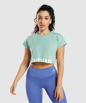 Corp Tops Gymshark Fraction γυναικεια μπλε | GR_TC6516