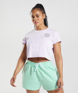 Corp Tops Gymshark Legacy γυναικεια μωβ | GR_QZ7937