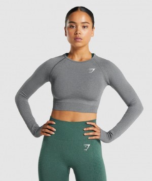 Corp Tops Gymshark Vital Seamless 2.0 Long Sleeve γυναικεια γκρι | GR_BO1094