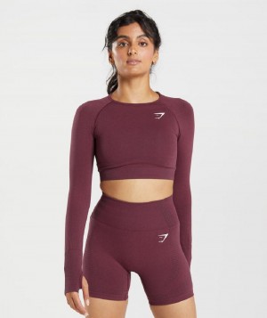 Corp Tops Gymshark Vital Seamless 2.0 γυναικεια μπορντο | GR_QZ3551