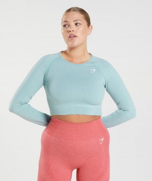 Corp Tops Gymshark Vital Seamless 2.0 γυναικεια μπλε | GR_O8288