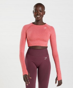 Corp Tops Gymshark Vital Seamless 2.0 γυναικεια κοκκινα | GR_CG5905