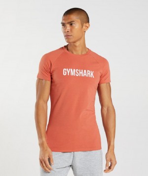 T Shirts Gymshark Apollo ανδρικα κοκκινα | GR_CG1911