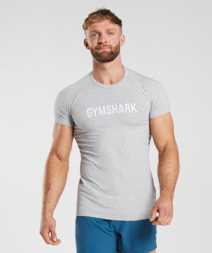 T Shirts Gymshark Apollo ανδρικα ανοιχτο γκρι | GR_ZI2917