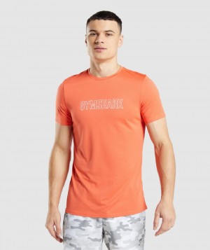 T Shirts Gymshark Arrival Graphic ανδρικα πορτοκαλι | GR_TG9752