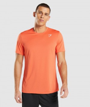T Shirts Gymshark Arrival ανδρικα πορτοκαλι | GR_EP3896