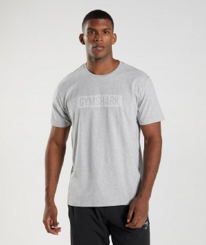 T Shirts Gymshark Block ανδρικα ανοιχτο γκρι | GR_CG7312
