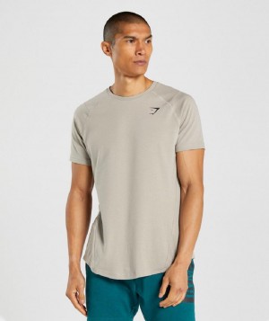 T Shirts Gymshark Bold ανδρικα γκρι | GR_AZ1247