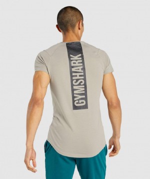 T Shirts Gymshark Bold ανδρικα γκρι | GR_NN8401
