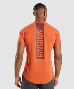 T Shirts Gymshark Bold ανδρικα πορτοκαλι | GR_R3208