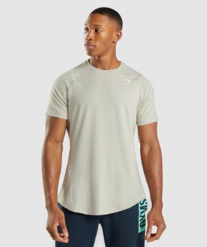T Shirts Gymshark Bold ανδρικα γκρι | GR_SG5955
