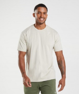 T Shirts Gymshark Crest ανδρικα γκρι | GR_MI9100