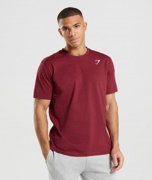 T Shirts Gymshark Crest ανδρικα μπορντο κοκκινα | GR_AZ7493