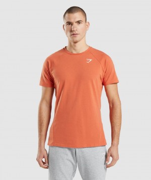 T Shirts Gymshark Critical ανδρικα πορτοκαλι | GR_TC6226