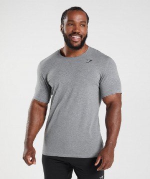 T Shirts Gymshark Essential ανδρικα γκρι | GR_XC1002