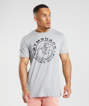 T Shirts Gymshark Legacy ανδρικα ανοιχτο γκρι | GR_O7864
