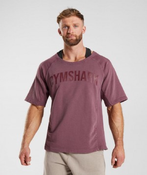 T Shirts Gymshark Power Washed Rag Top ανδρικα ροζ καφε | GR_R5842
