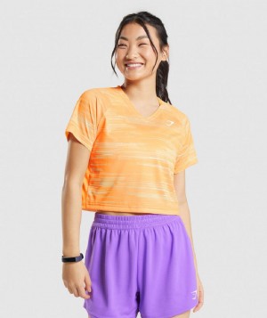 T Shirts Gymshark Sport Midi γυναικεια πορτοκαλι | GR_BO1418