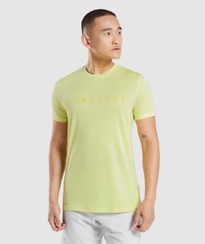 T Shirts Gymshark Sport Stripe ανδρικα πρασινο | GR_EE1439