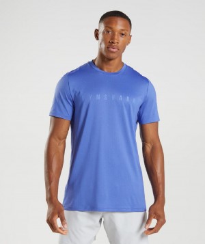 T Shirts Gymshark Sport Stripe ανδρικα μπλε | GR_VV9426