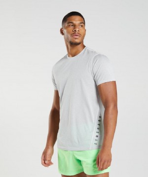 T Shirts Gymshark Sport ανδρικα ασπρα γκρι | GR_UV6180
