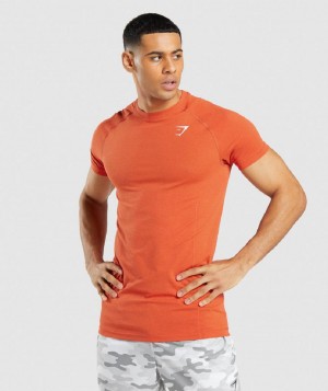 T Shirts Gymshark Vital Light Seamless ανδρικα πορτοκαλι | GR_K2714