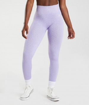 Κολαν Gymshark Adapt Animal Seamless γυναικεια μωβ | GR_S2355