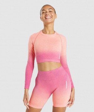 Μακρυμανικο Gymshark Adapt Ombre Seamless γυναικεια πορτοκαλι ροζ | GR_NN1841