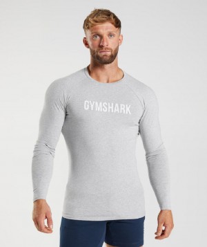 Μακρυμανικο Gymshark Apollo ανδρικα ανοιχτο γκρι | GR_K2761