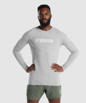 Μακρυμανικο Gymshark Apollo ανδρικα ανοιχτο γκρι | GR_QX7060