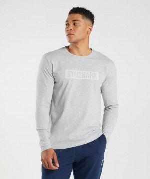 Μακρυμανικο Gymshark Block ανδρικα ανοιχτο γκρι | GR_SU9239