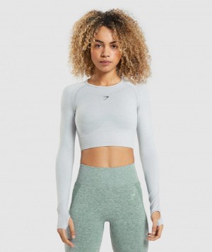 Μακρυμανικο Gymshark Flex Sports γυναικεια ανοιχτο γκρι | GR_YJ3349