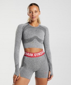 Μακρυμανικο Gymshark Flex γυναικεια γκρι | GR_TC3558