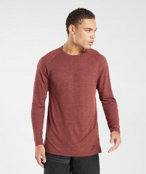 Μακρυμανικο Gymshark Retake Seamless ανδρικα ροζ καφε μαυρα | GR_EE2962