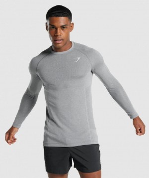 Μακρυμανικο Gymshark Vital Light Seamless ανδρικα γκρι | GR_QX6844