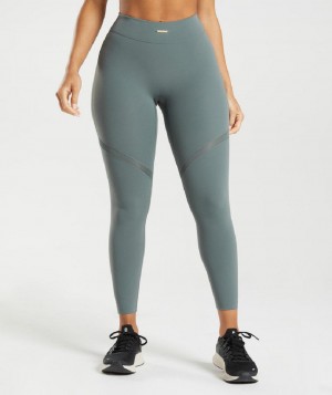 Κολαν Gymshark Whitney Mesh γυναικεια γκρι | GR_TA6450