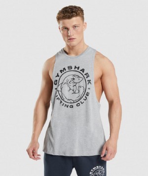 αμανικα μπλουζακια Gymshark Legacy Drop Arm ανδρικα ανοιχτο γκρι | GR_IM6814