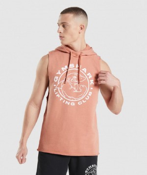 Φουτερ με Κουκουλα Gymshark Legacy Drop Arm ανδρικα ροζ | GR_TH7920