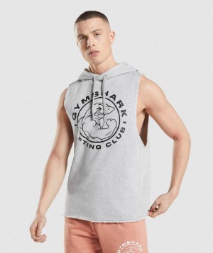 Φουτερ με Κουκουλα Gymshark Legacy Drop Arm ανδρικα ανοιχτο γκρι | GR_ZI1829