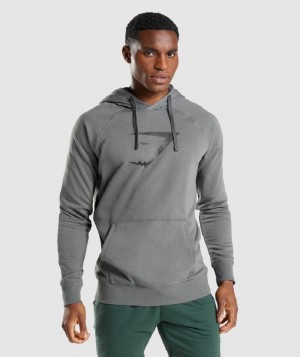 Φουτερ με Κουκουλα Gymshark Sharkhead Infill ανδρικα γκρι | GR_SG4687