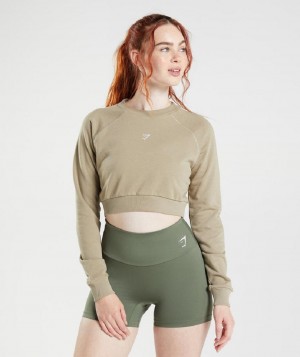 τρέξιμο με κουκούλα Gymshark Training Cropped Sweater γυναικεια καφε | GR_CR1379
