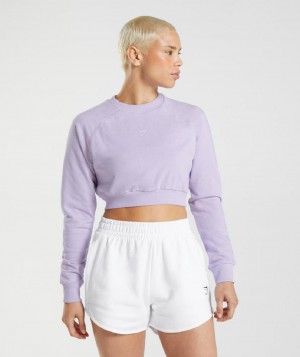 τρέξιμο με κουκούλα Gymshark Training Cropped Sweater γυναικεια μωβ | GR_AS6491