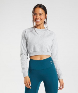 τρέξιμο με κουκούλα Gymshark Training Cropped Sweater γυναικεια ανοιχτο γκρι | GR_YJ6900