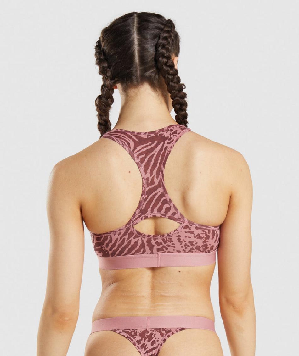 Bralette Gymshark Cotton γυναικεια ροζ | GR_AZ5090