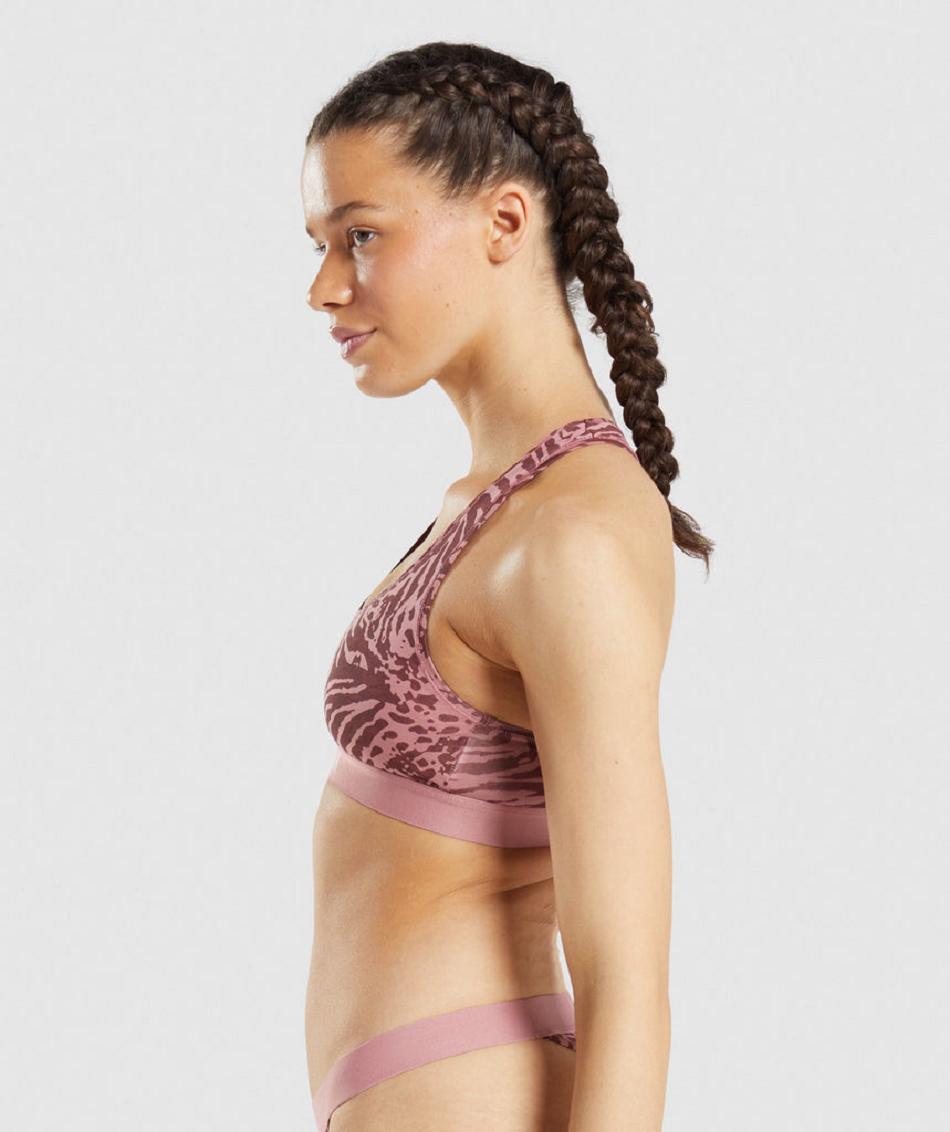 Bralette Gymshark Cotton γυναικεια ροζ | GR_AZ5090