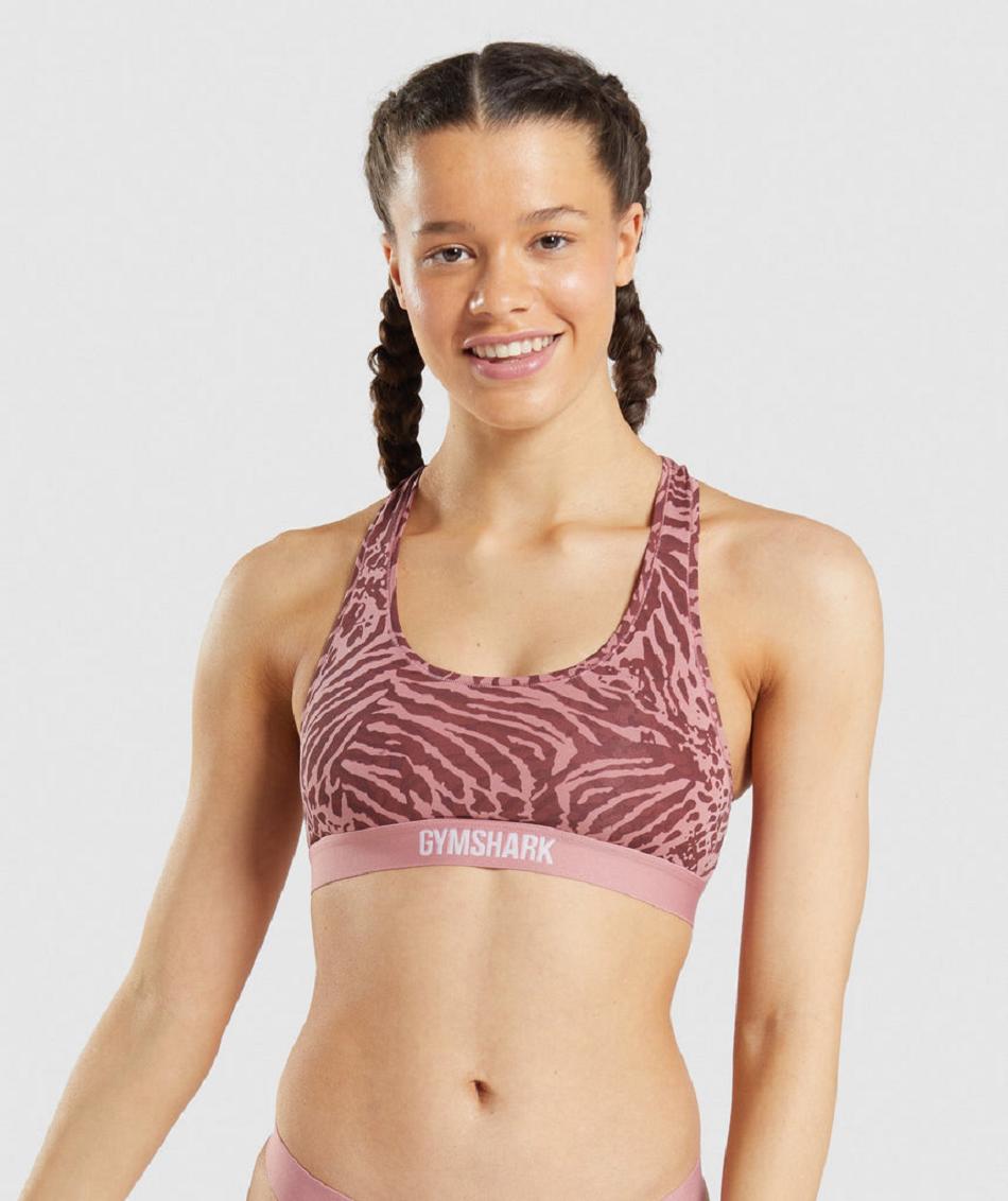 Bralette Gymshark Cotton γυναικεια ροζ | GR_AZ5090