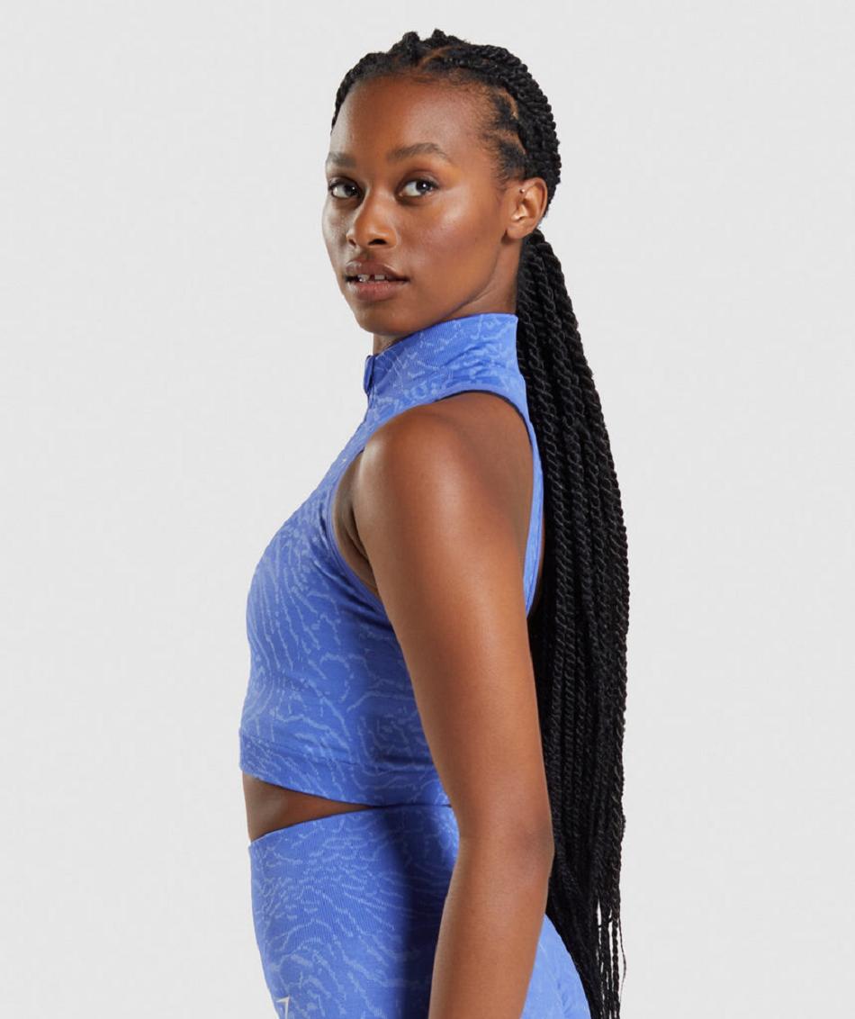 Corp Tops Gymshark Adapt Animal Seamless 1/2 Zip γυναικεια μπλε | GR_V4022