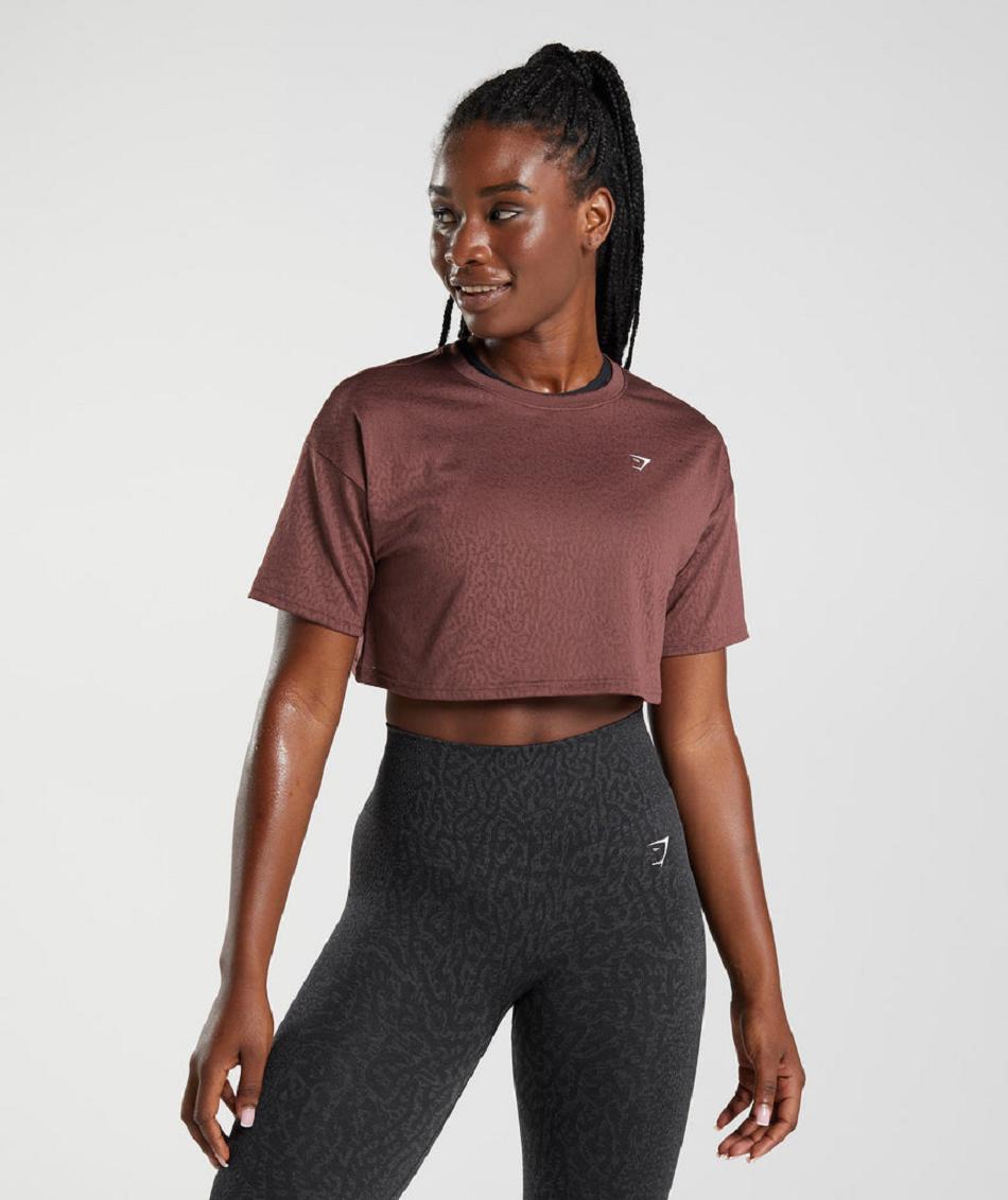 Corp Tops Gymshark Adapt Animal Seamless γυναικεια ροζ καφε | GR_K6250