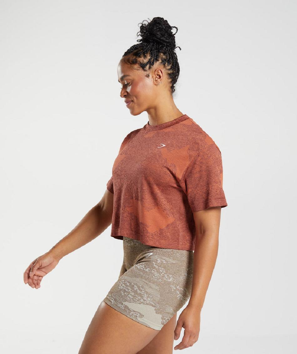 Corp Tops Gymshark Adapt Camo Seamless γυναικεια κοκκινα ροζ καφε | GR_Q6441